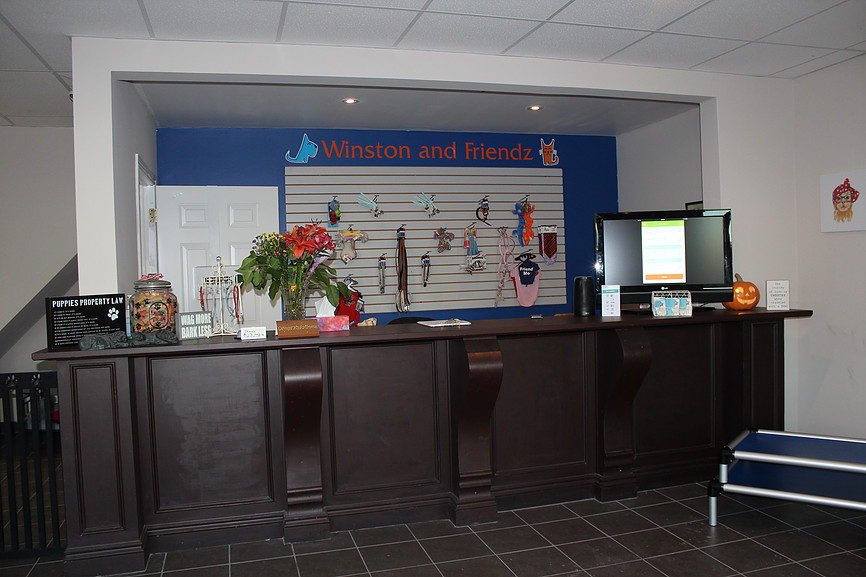 Winston and Friendz | 2359 Royal Windsor Dr #19, Mississauga, ON L5J 4S9, Canada | Phone: (905) 582-8279