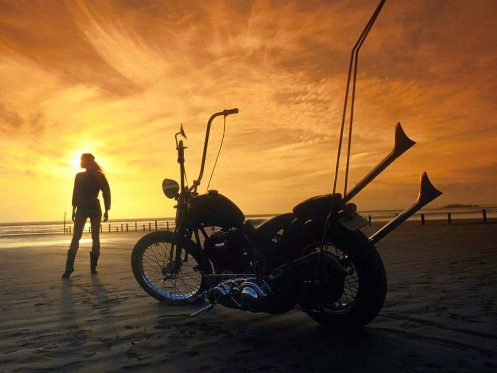 Jos Harley | 1322 Rue Principale, Saint-Dominique, QC J0H 1L0, Canada | Phone: (450) 768-7503