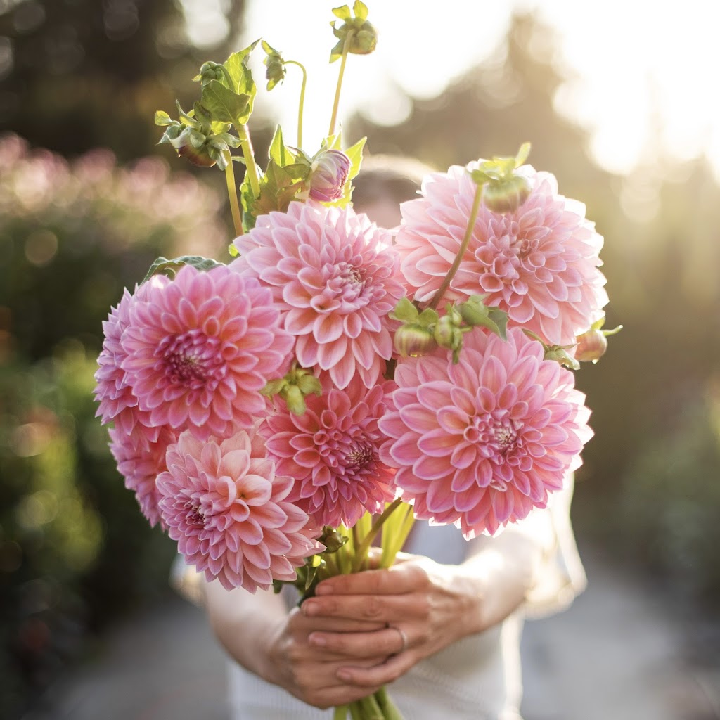 Five Acres Flower Farm | 29044 Haverman Rd, Abbotsford, BC V4X 2P3, Canada | Phone: (778) 982-2966