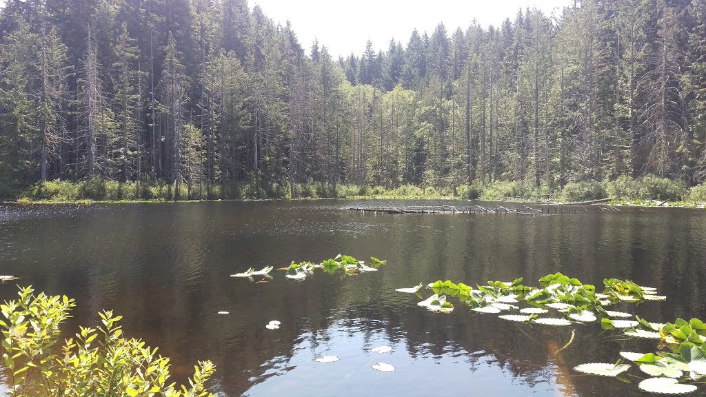 Cedar Lake Overlook | Bellingham, WA 98229, USA