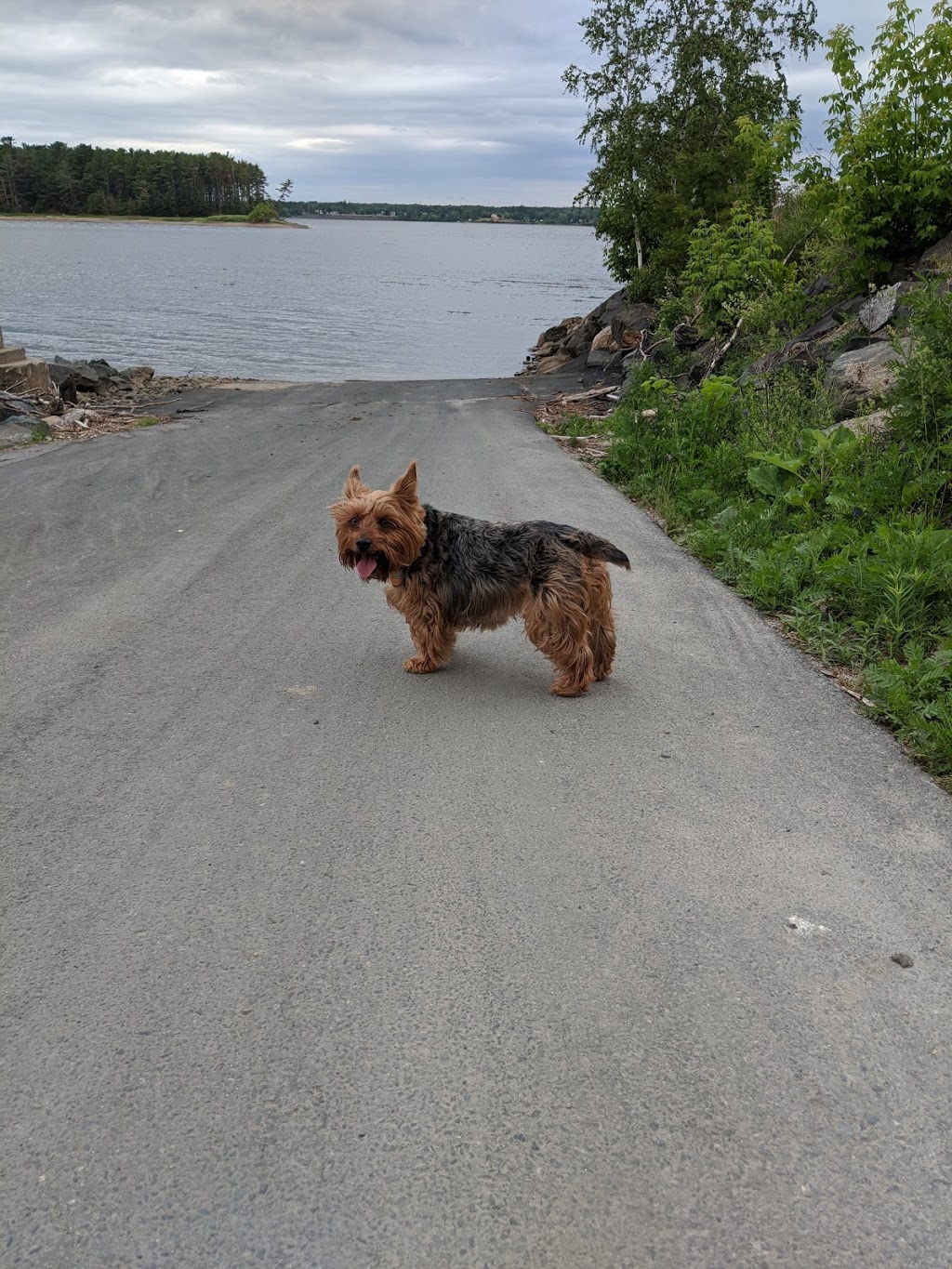 Beaubears Island | 35 St Patricks Dr, Miramichi, NB E1N 4P6, Canada | Phone: (506) 622-8526