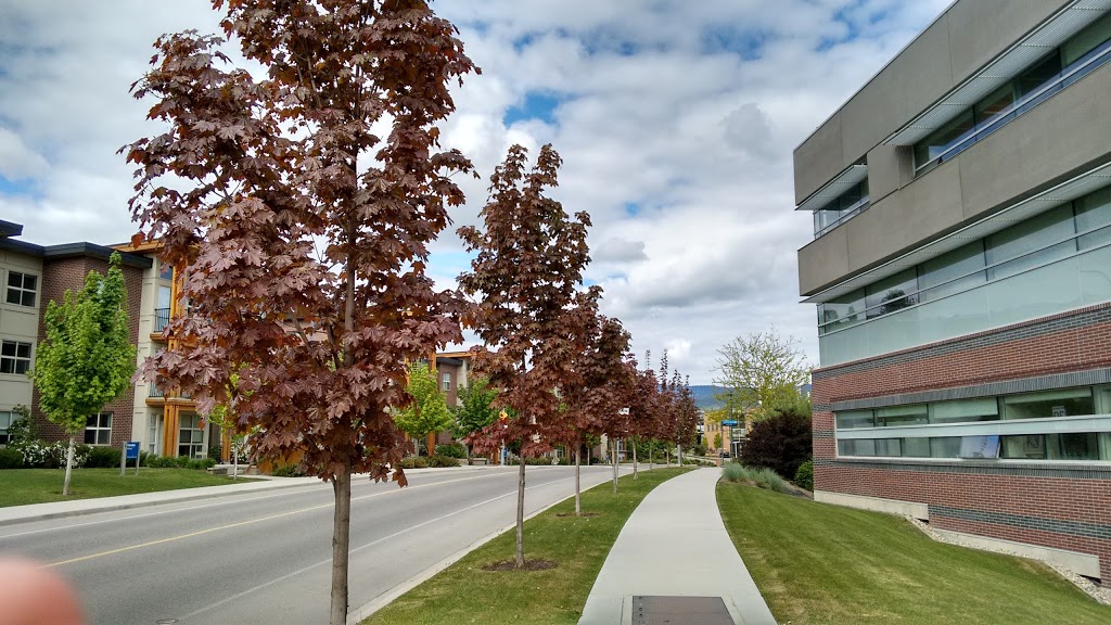UBC Okanagan | 3333 University Way, Kelowna, BC V1V 1V7, Canada | Phone: (250) 807-8000