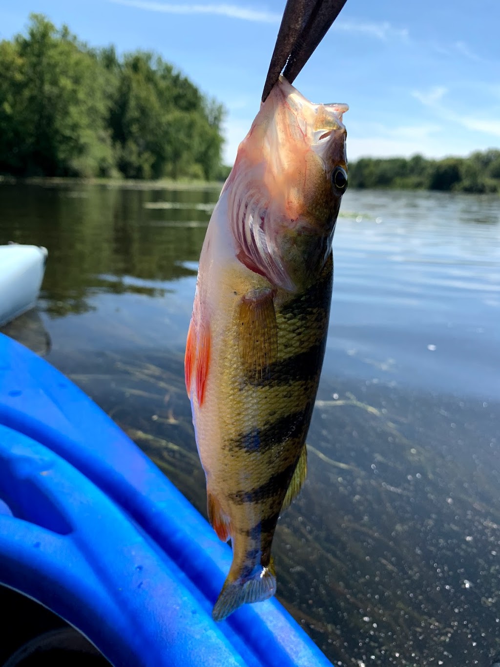 Up River Rentals | 5-269 Upper Scotch Line, Perth, ON K7H 3C5, Canada | Phone: (613) 439-1688
