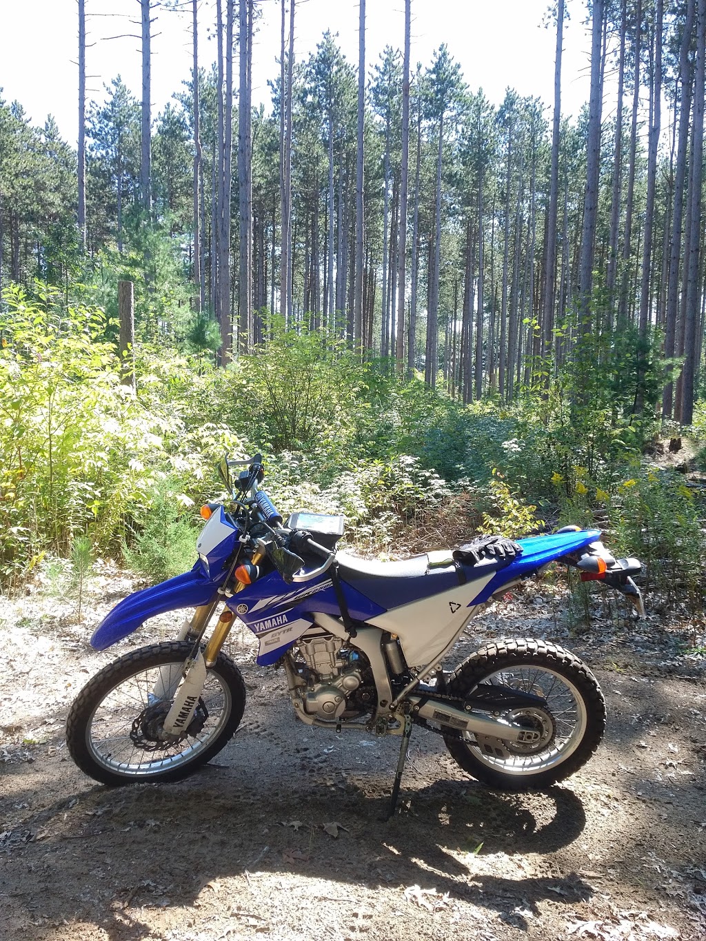 St. Williams Conservation Reserve - Turkey Point Tract | Regional Road 10, St Williams, ON N0E 1P0, Canada