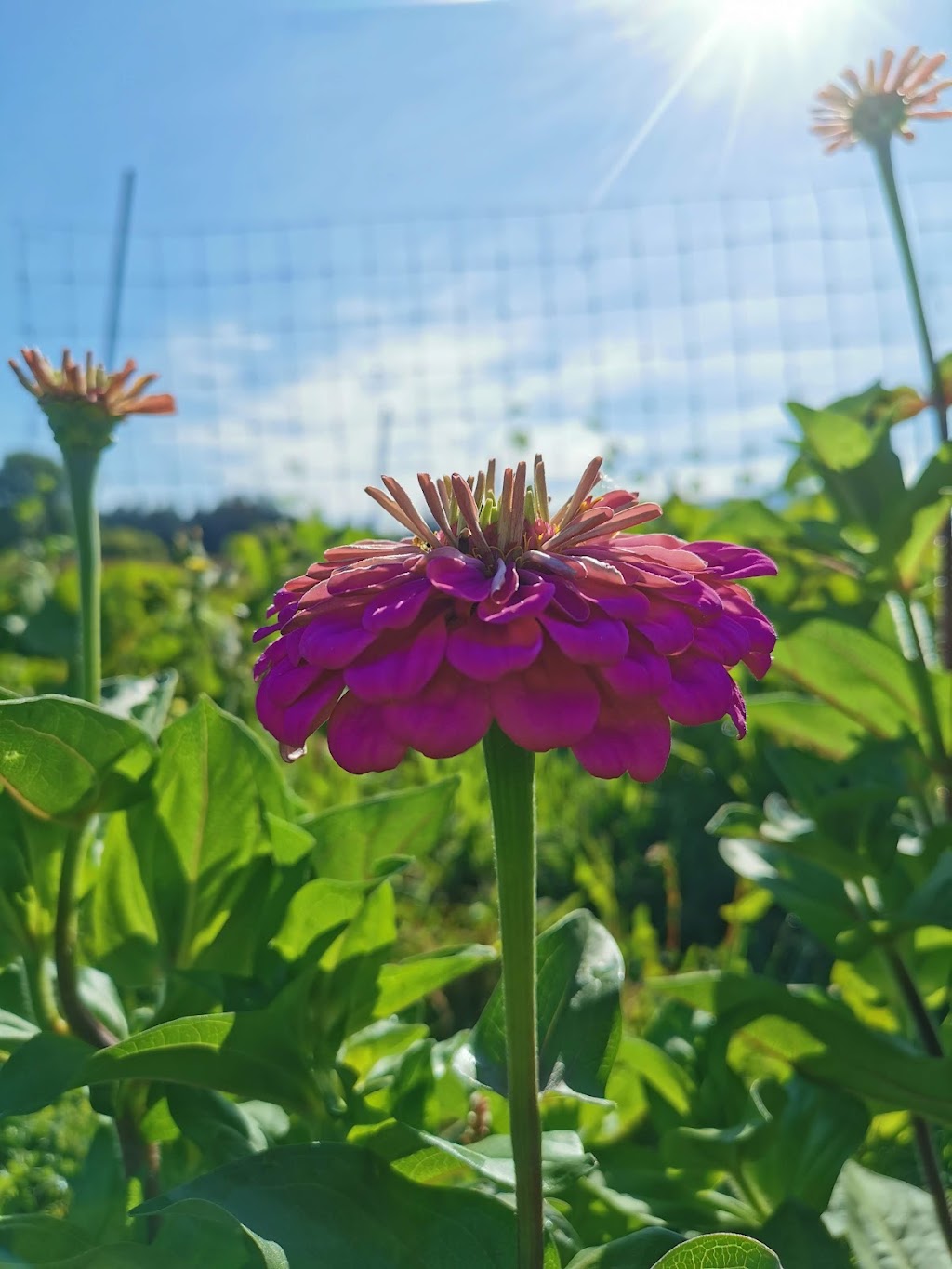 Cowichan Farm & Food Hub | 2431 Beverly St, Duncan, BC V9L 3A1, Canada | Phone: (250) 597-8200