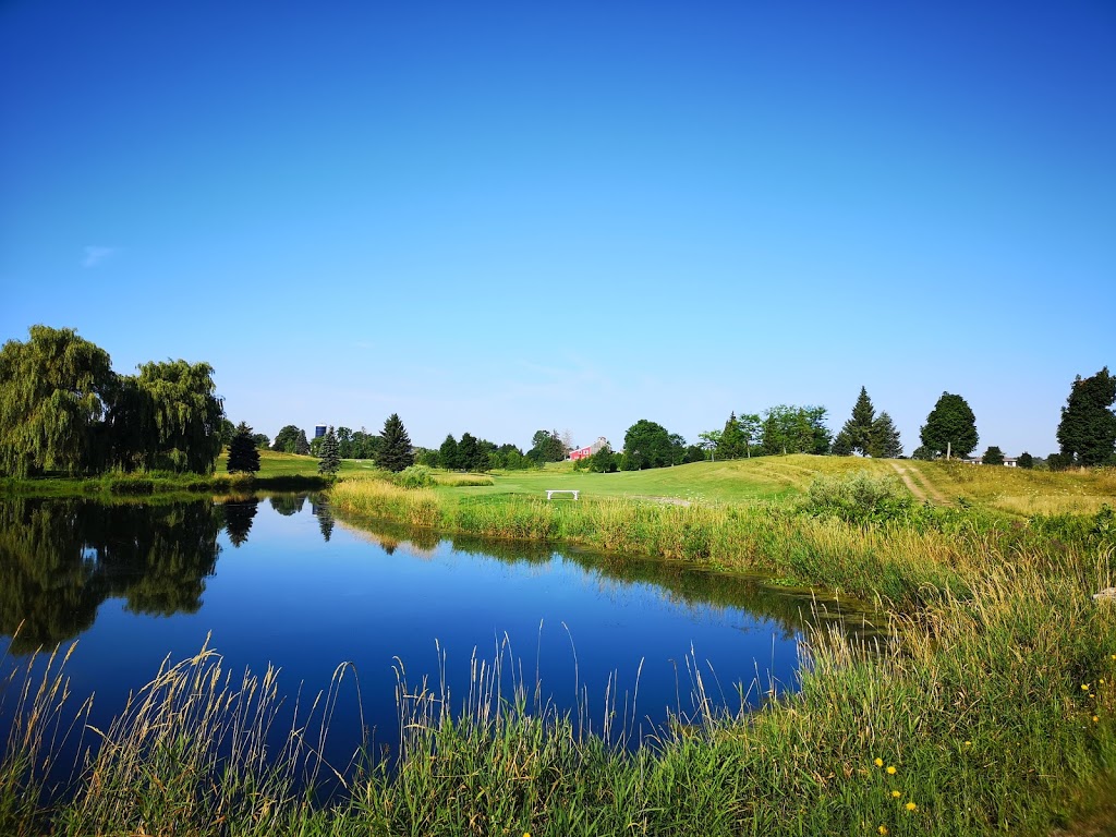 Fescues Edge Golf Club | 18 Hagan Rd, Scotland, ON N0E 1R0, Canada | Phone: (519) 484-2200