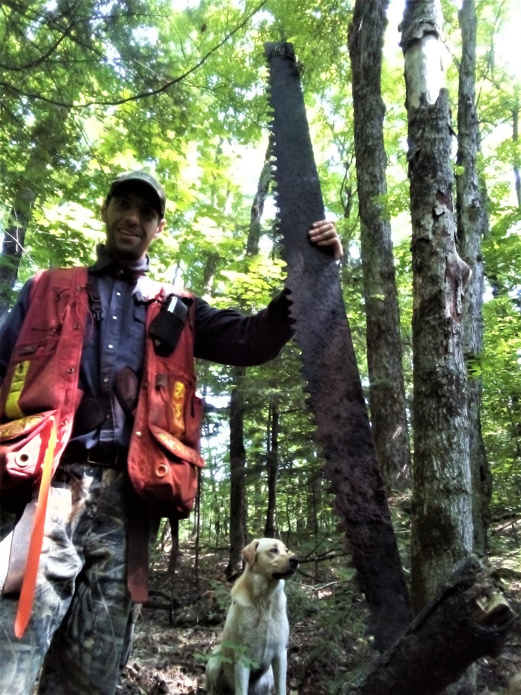 York River Forestry Services | 74 York River Dr, Bancroft, ON K0L 1C0, Canada | Phone: (613) 334-9893