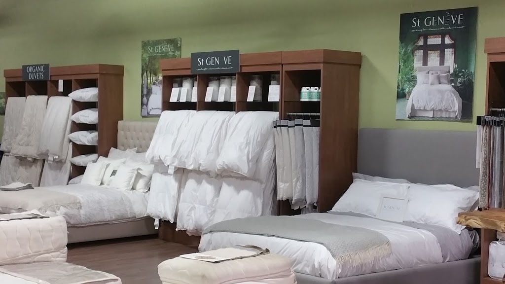 Soma Organic Mattresses | 100 Bridgeland Ave, North York, ON M6A 1Z4, Canada | Phone: (416) 789-2337
