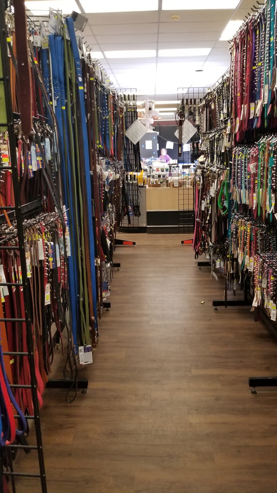 G&E Pharmacy | 7326 82 Ave NW, Edmonton, AB T6B 0G2, Canada | Phone: (780) 469-7667