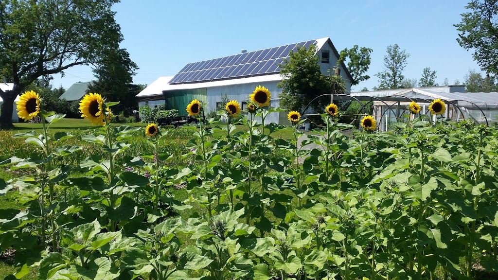 Bonville Garden | 17353 McPhail Rd, St Andrews West, ON K0C 2A0, Canada | Phone: (514) 944-7875