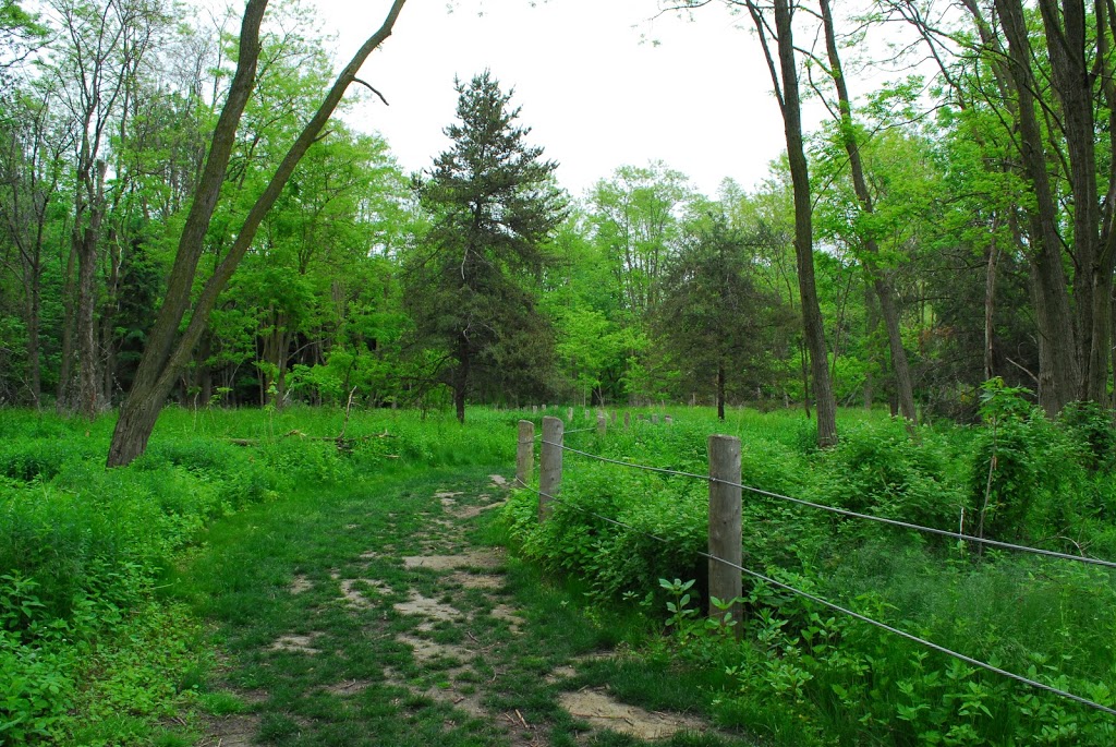 Cudia Park | 70 Meadowcliffe Dr, Scarborough, ON M1M 2X9, Canada | Phone: (416) 338-4386