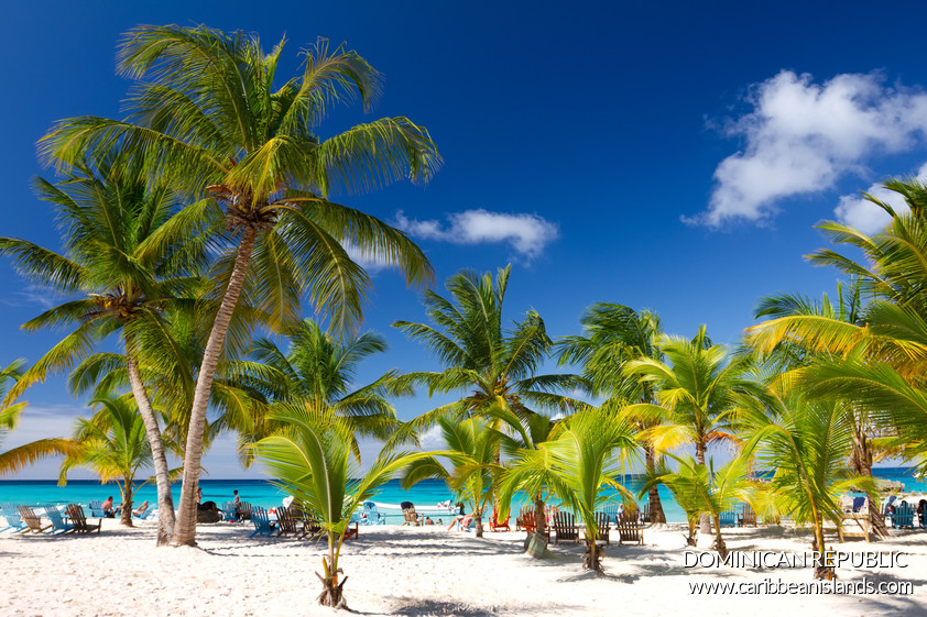 Marlin Travel Whitby | 3455 Garrard Rd, Whitby, ON L1R 2N2, Canada | Phone: (289) 278-3428