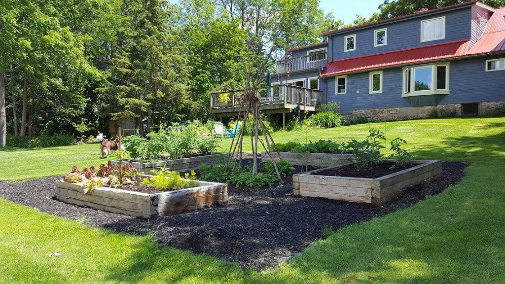 Harmonious Fox House | 1225 County Rd 15, Prince Edward, ON K0K, Canada | Phone: (647) 828-8619