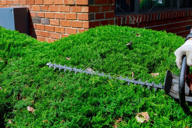 H.A.L. Lawncare Service | 684767 Oxford 2, Woodstock, ON N4S 7V7, Canada | Phone: (519) 536-5211