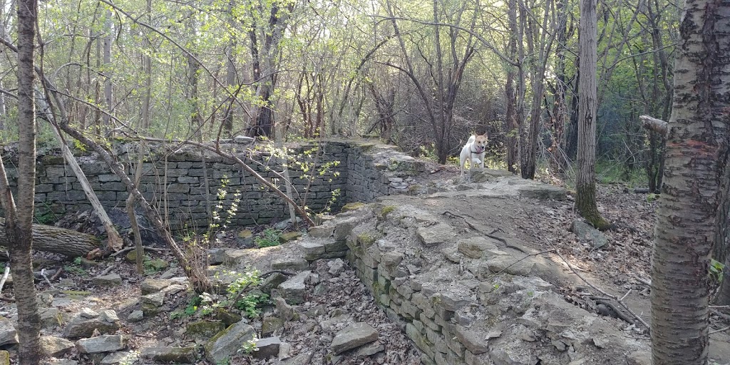 Stony Swamp Trail | NCC 26, Nepean, ON K2R 1H4, Canada