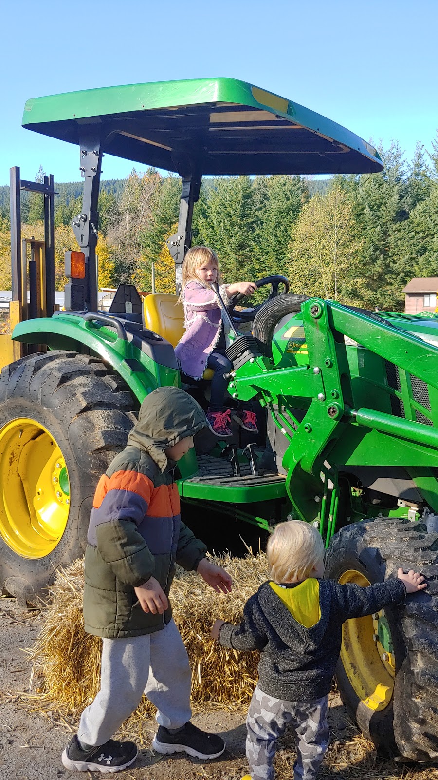 Shady Hazel Farm | 805 Payne Rd, Gibsons, BC V0N 1V7, Canada | Phone: (604) 866-4295