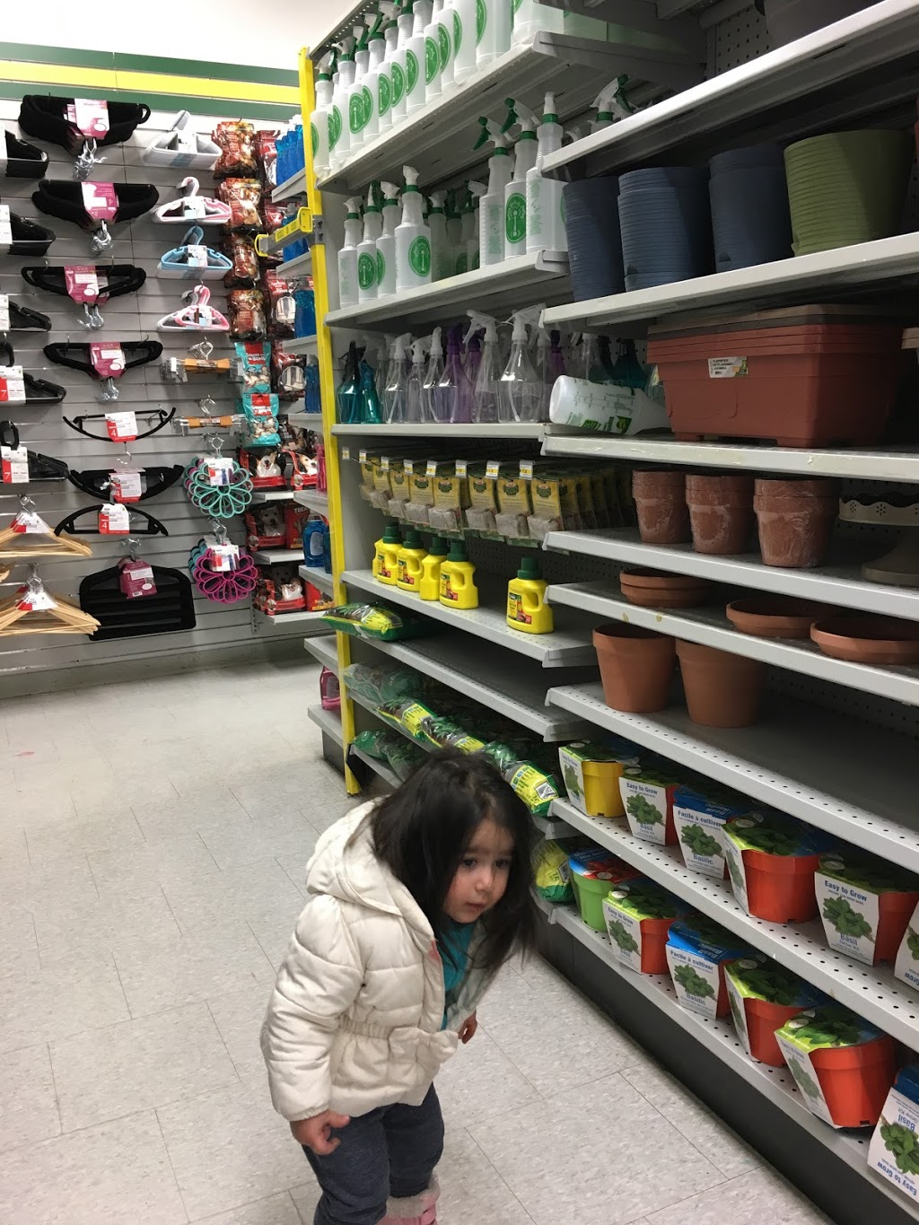 Dollarama Shoppers World Danforth, 3003 Danforth Ave, East York, ON M4C 1M9, Canada