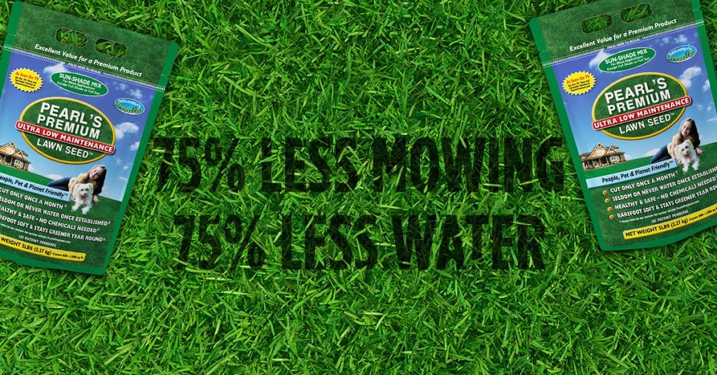 Sun Country Eco-Store | 325 Victoria St, Clinton, ON N0M 1L0, Canada | Phone: (519) 606-3200