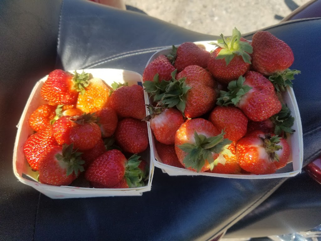 Gouchers Farm Market | 14935, Nova Scotia Trunk 1, Wilmot, NS B0P 1W0, Canada | Phone: (902) 242-3422