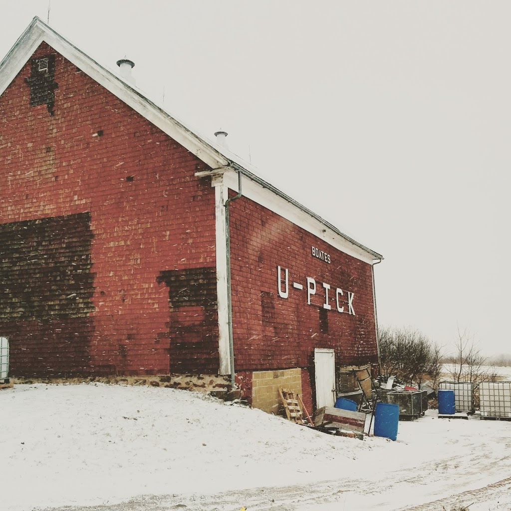 Boates Farm | 432 Bligh Rd, Cambridge, NS B0P 1G0, Canada | Phone: (902) 670-3339