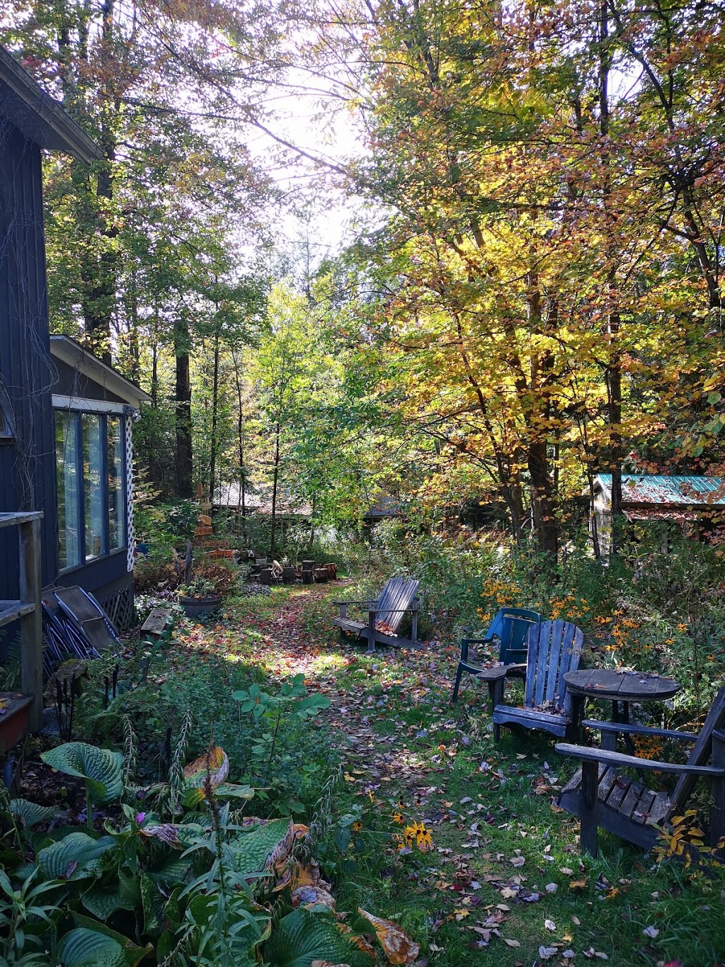Yoga Salamandre | 151 Chemin Brandy, Foster, QC J0E 1R0, Canada | Phone: (514) 659-7213