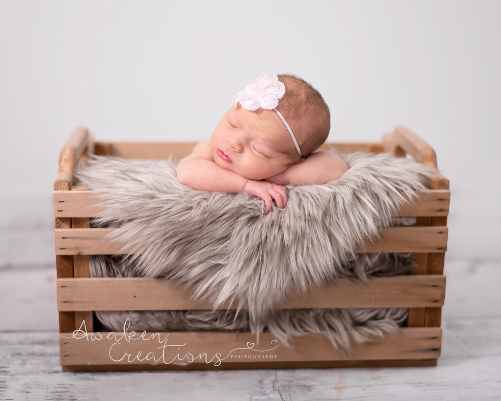 Awaken Creations Photography | 3011 Meadow Dr, Nanaimo, BC V9R 7C6, Canada | Phone: (250) 618-3003