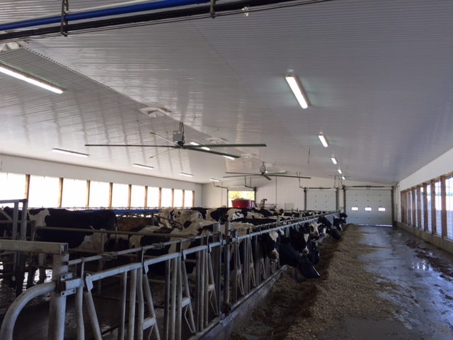 Jeni Mobile Wash Ltd | 8136 Wellington 19, Fergus, ON N1M 2W4, Canada | Phone: (519) 843-2672