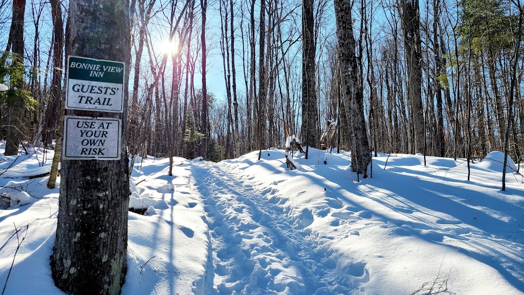 Bonnie View Inn | 2713 Kashagawigamog Lake Rd, Minden, ON K0M 1S0, Canada | Phone: (800) 461-0347