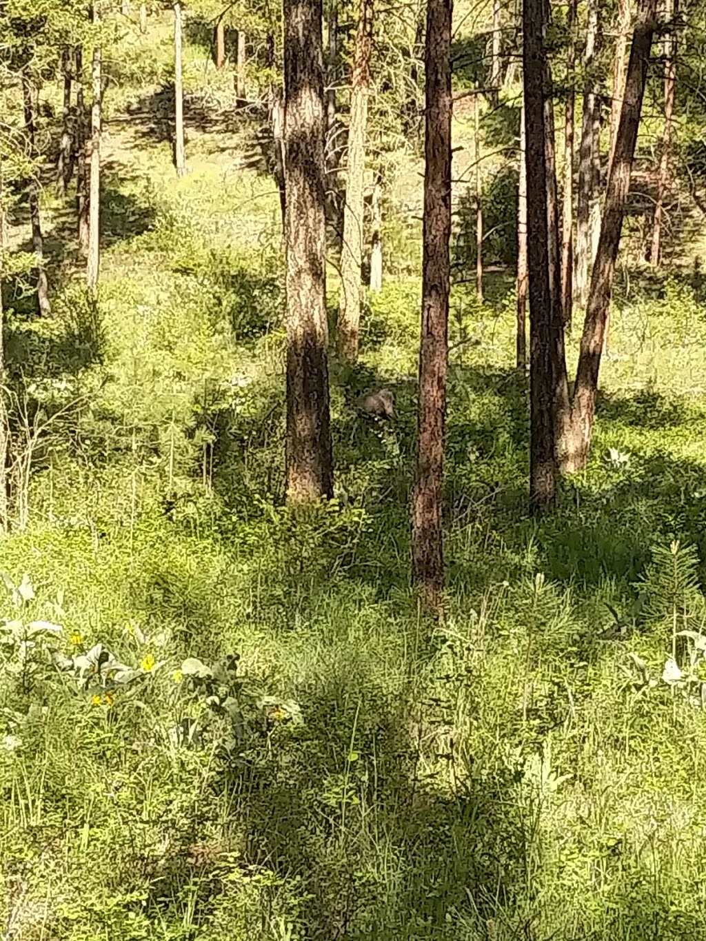 Quail Ridge Linear Park | Kelowna, BC V1V 2S4, Canada | Phone: (250) 717-2757