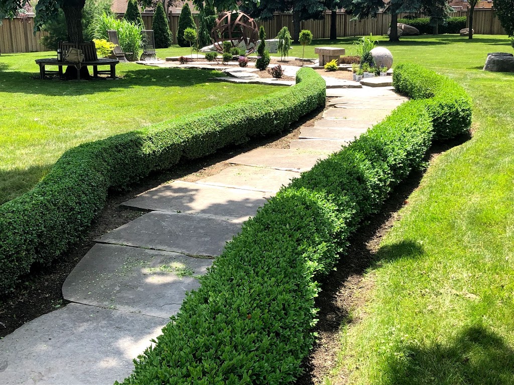 WD Turf Plus | 121 Cardinal St, Barrie, ON L4M 6G1, Canada | Phone: (705) 796-6798