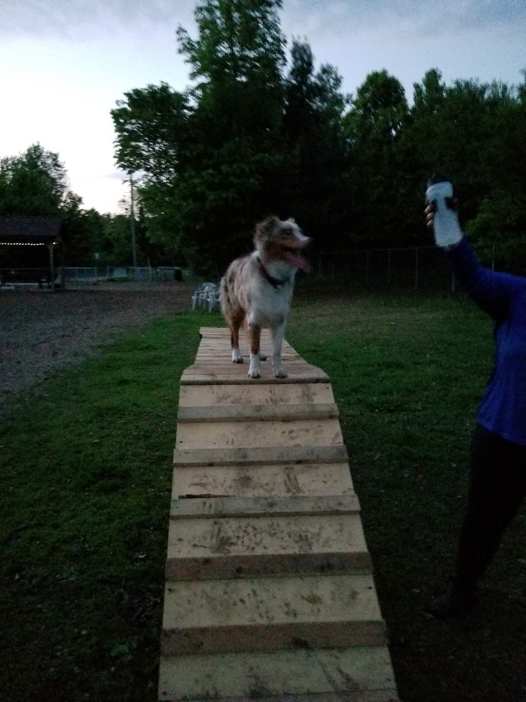 Staff Sergeant Larry Bigley K-9 Park | John St S, Gravenhurst, ON P1P 1J9, Canada | Phone: (705) 687-3412