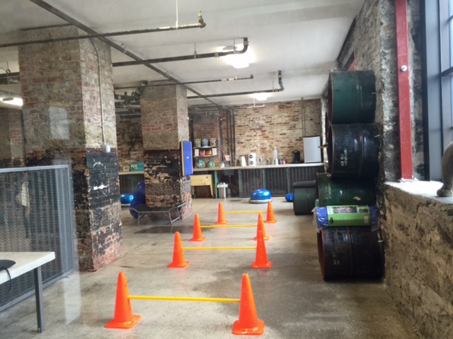 Animal Outfitters, Inc. | 500 Seneca St #150, Buffalo, NY 14204, USA | Phone: (716) 436-4553