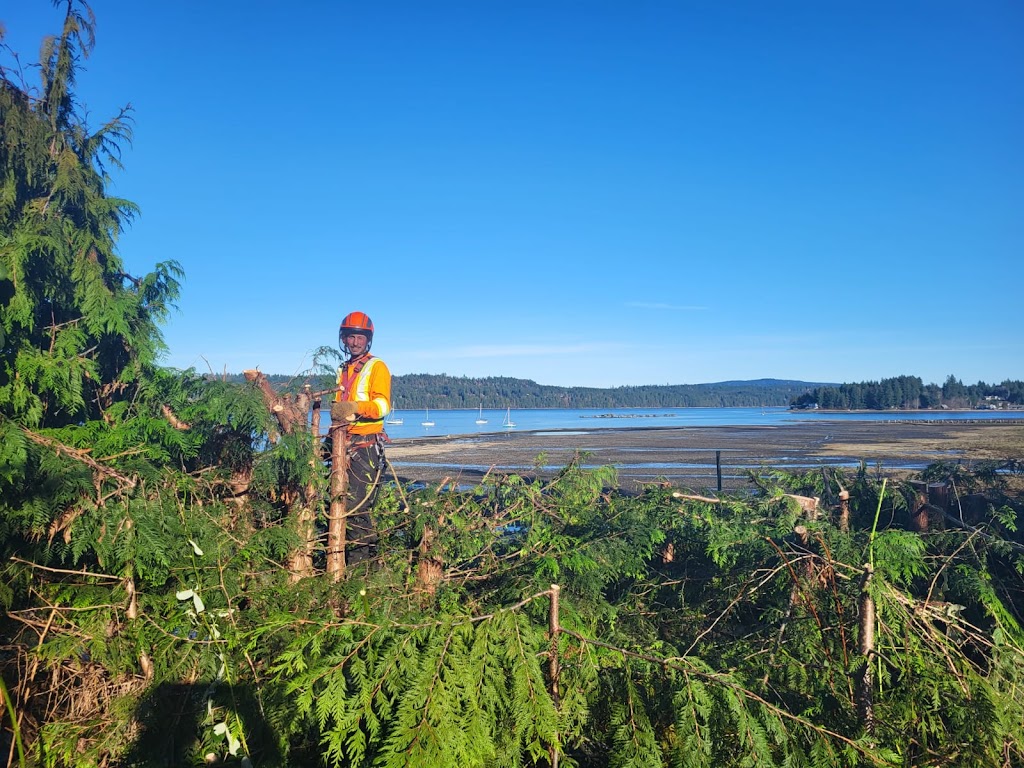 The Orange Tree Service | 1474 Hurford Ave, Courtenay, BC V9N 6X3, Canada | Phone: (250) 207-6764