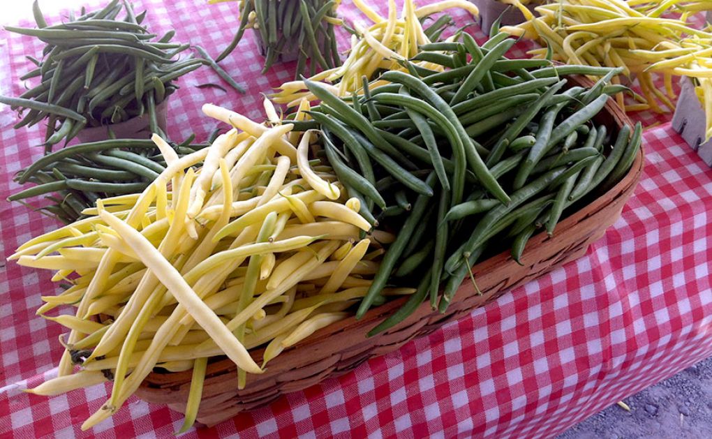 McGregors Produce - Calabogie Market Stand | 4709 Calabogie Rd, Calabogie, ON K0J 1H0, Canada | Phone: (613) 432-9726