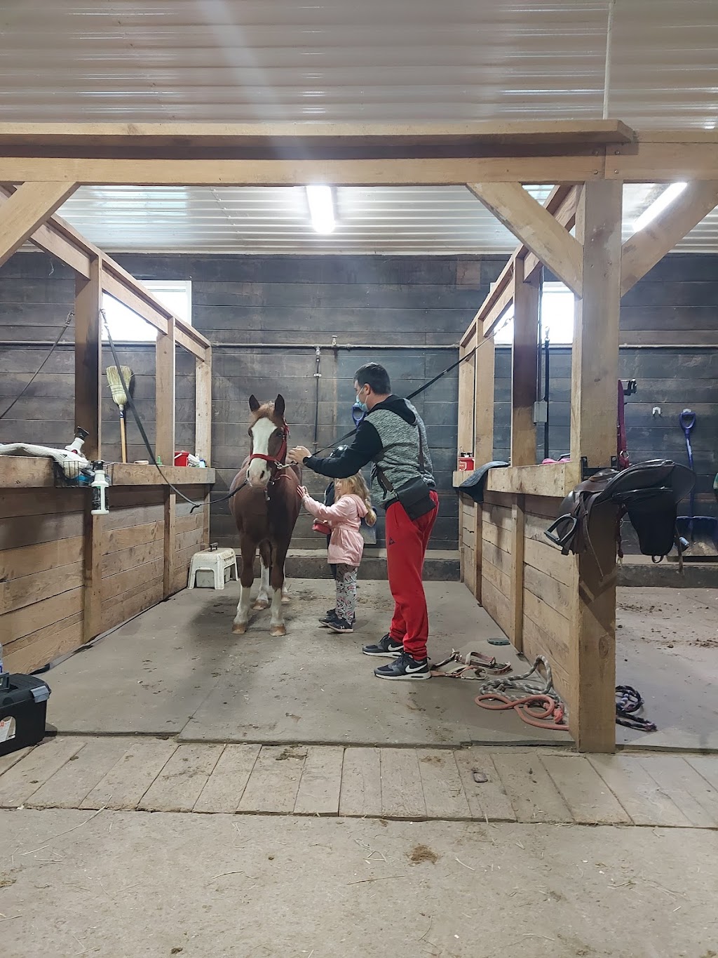 Allardyce Farm/Hemmingford Equestrian Center | 459 Chem. Lavallée, Hemmingford, QC J0L 1H0, Canada | Phone: (514) 238-9787