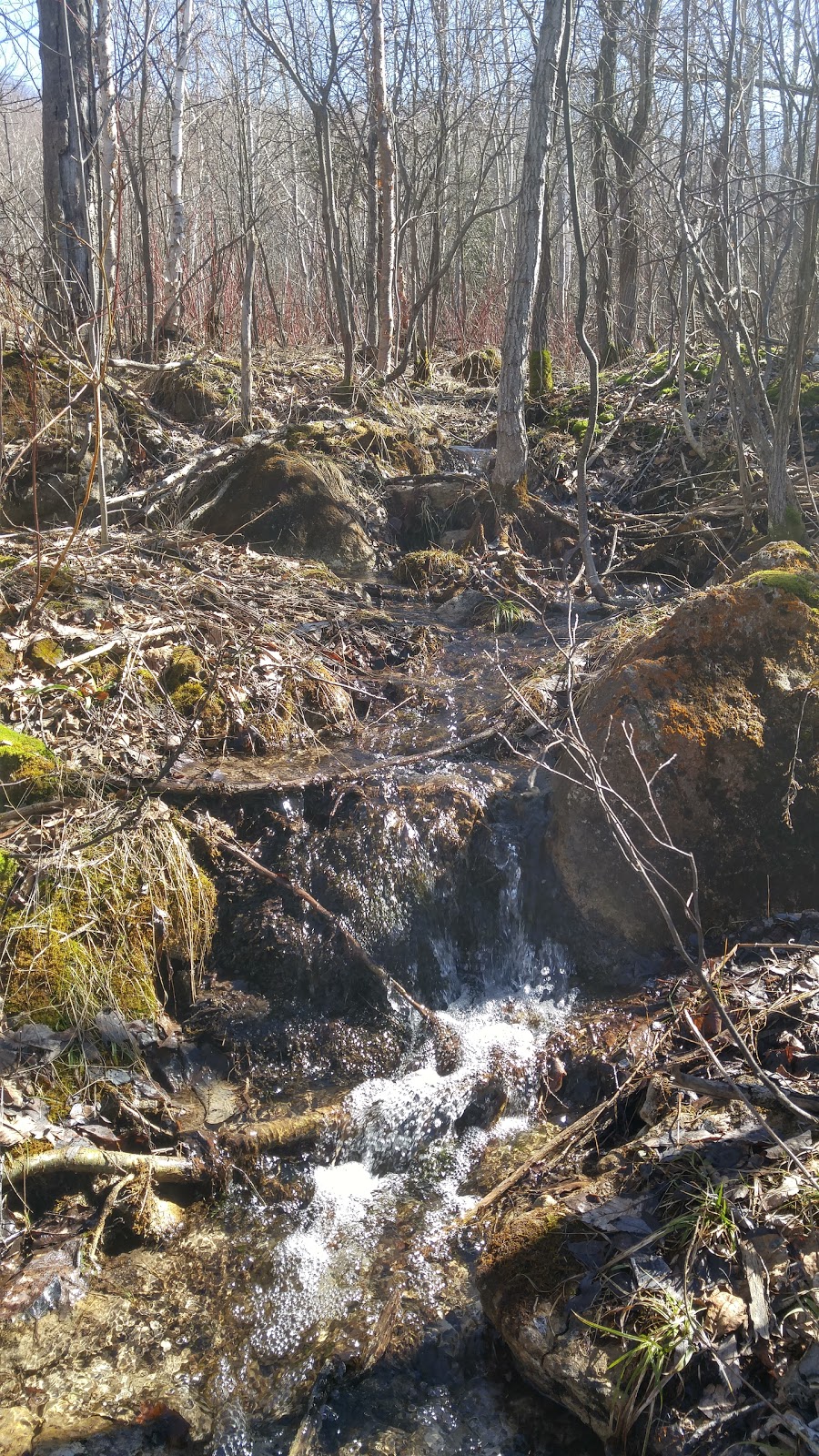 Noisy River Provincial Park | Creemore, ON L0M 1G0, Canada | Phone: (705) 429-2516