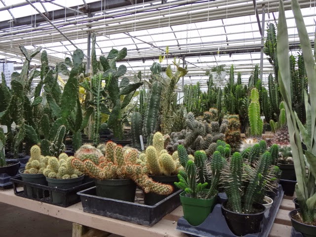 Arber Greenhouses Ltd | Wetaskiwin County No. 10, AB T9A 2Y9, Canada | Phone: (780) 352-7520