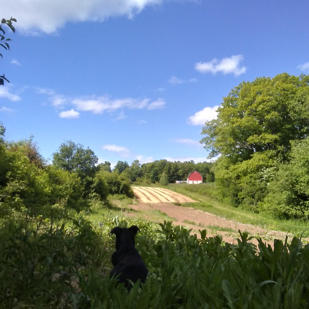 Olde Furrow Farm | 569 Belcher St, Port Williams, NS B0P 1T0, Canada | Phone: (902) 690-7621