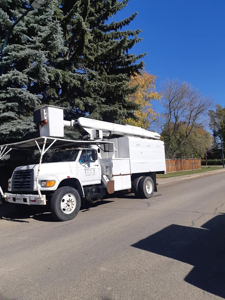 Trinity Tree Experts | 127 Ibbotson Close, Red Deer, AB T4R 0C4, Canada | Phone: (403) 667-5750