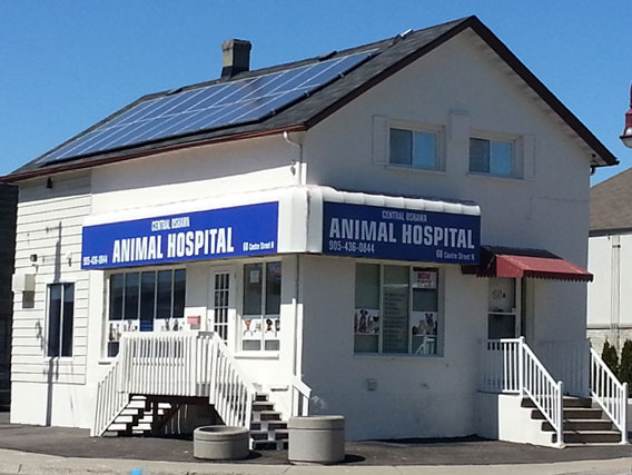 Central Oshawa Animal Hospital | 68 Centre St N, Oshawa, ON L1G 4B6, Canada | Phone: (905) 436-0844
