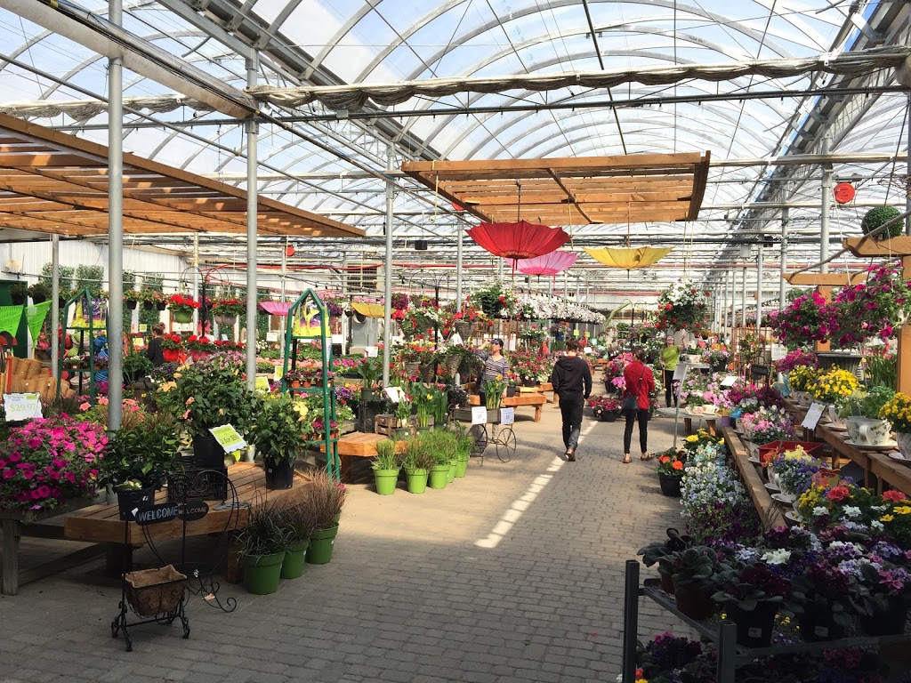 Vanderwees Garden Gallery | 6488 Mapleward Rd, Thunder Bay, ON P7G 2J9, Canada | Phone: (807) 767-3666