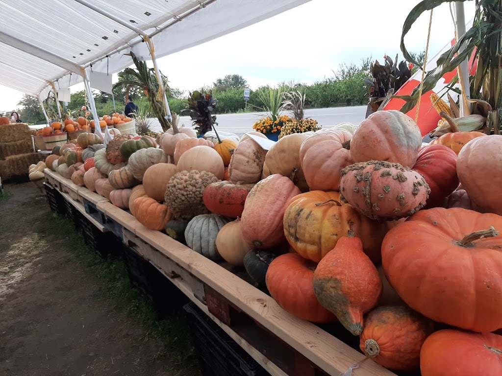 Niagara Quality Fruit | 667 Regional Rd 87, Niagara-on-the-Lake, ON L0S 1J0, Canada | Phone: (905) 347-3700