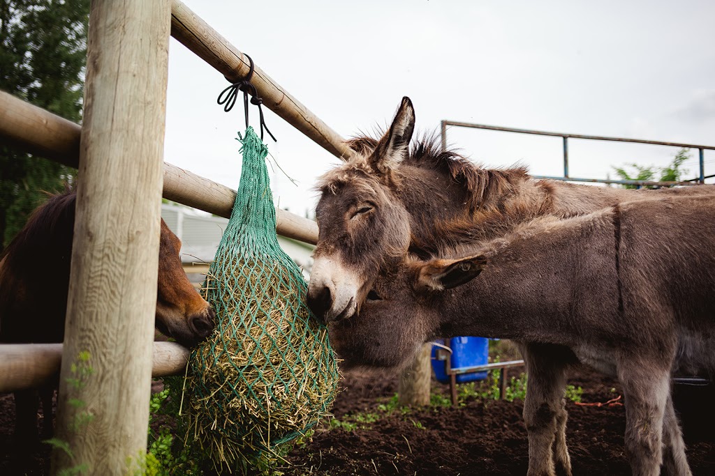 NAG Bags - Slow Hay Feeders | 600 Similkameen Ave, Princeton, BC V0X 1W0, Canada | Phone: (250) 295-5052