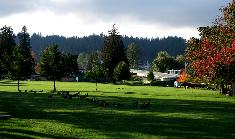 Rocky Point Spray Park | 2800 Murray St, Port Moody, BC V3H 1X2, Canada | Phone: (604) 469-4676