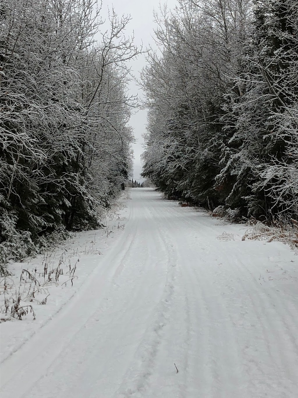 Whispering Pines Seasonal Trailer | Manitoba R0E 2H0, Canada | Phone: (204) 349-8893