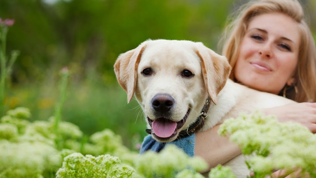 Thousand Islands Veterinary Services | 839 Stone St N, Gananoque, ON K7G 1Z7, Canada | Phone: (613) 382-2900