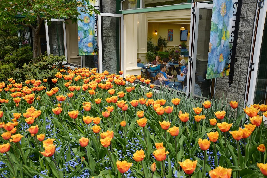 The Blue Poppy Restaurant | 800 Benvenuto Ave, Brentwood Bay, BC V8M 1J8, Canada | Phone: (250) 652-4422
