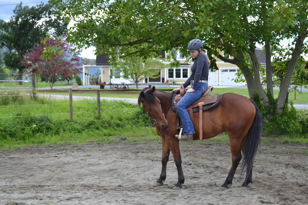 Cassidy Floris Horsemanship | 38606 Old Yale Rd, Abbotsford, BC V3G 1X5, Canada | Phone: (604) 832-3681