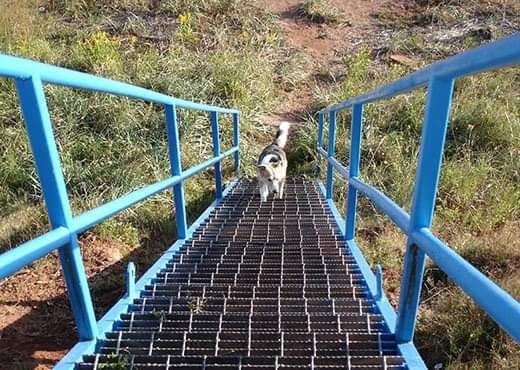 Golden Sands Cottages | Wharf Rd, South Rustico, PE C0A 1X0, Canada | Phone: (902) 963-2789