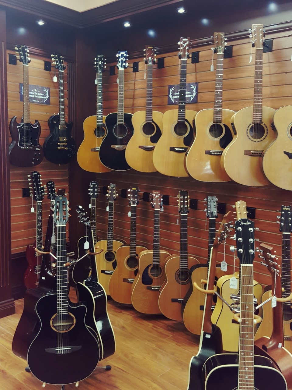 AOne Musical Instruments 2641 Commercial Dr, Vancouver, BC V5N 4C3
